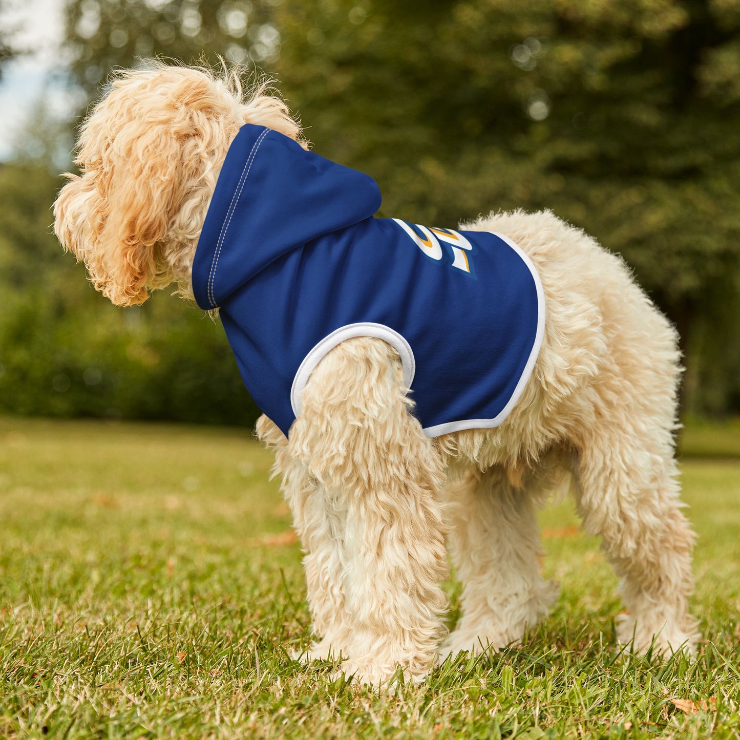 Southern Pet Hoodie