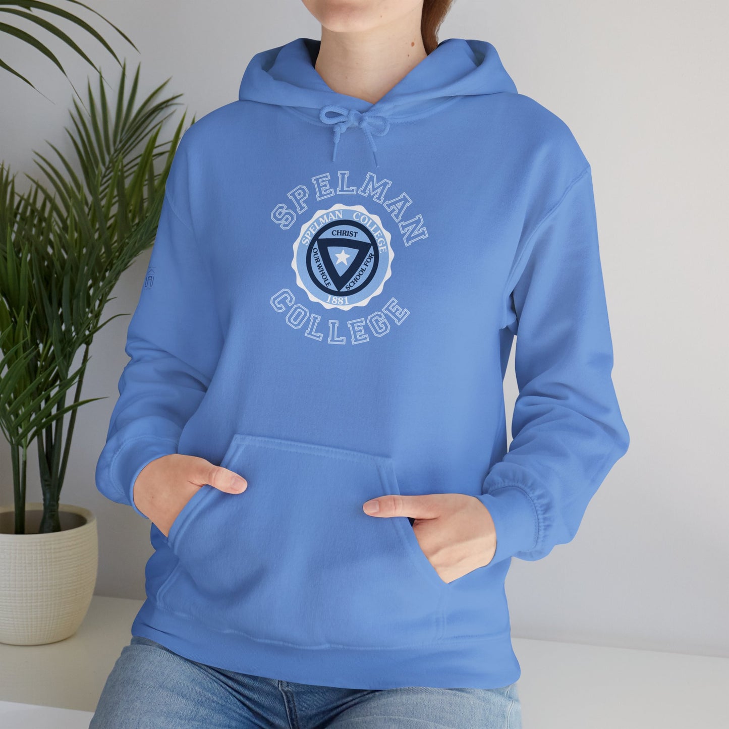 Unisex Heavy Blend™ Hooded Sweatshirt sc