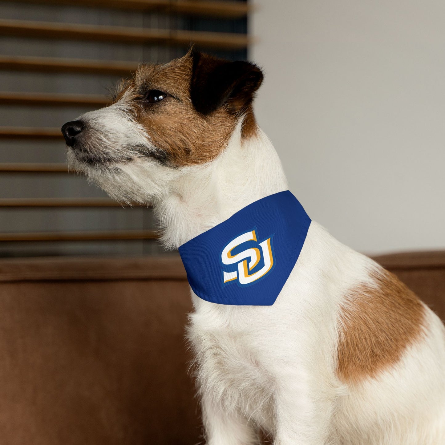 Southern Pet Bandana Collar