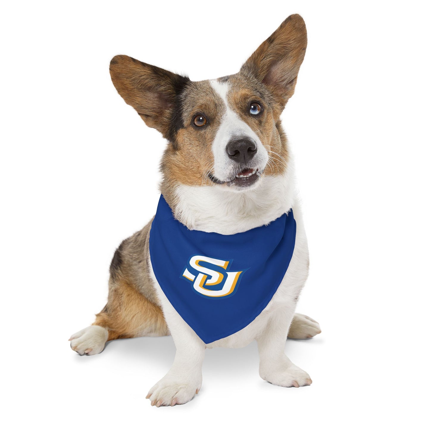 Southern Pet Bandana Collar