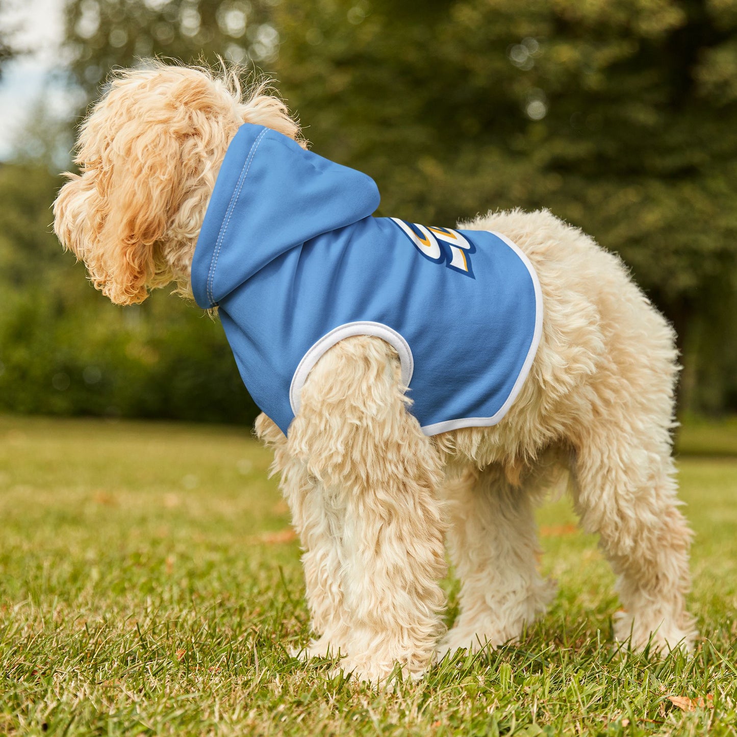 Southern Pet Hoodie