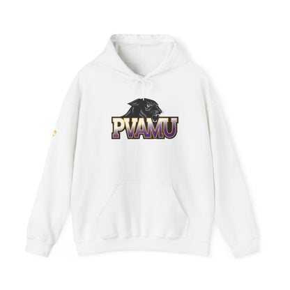 Unisex Heavy Blend™ Hooded Sweatshirt pv