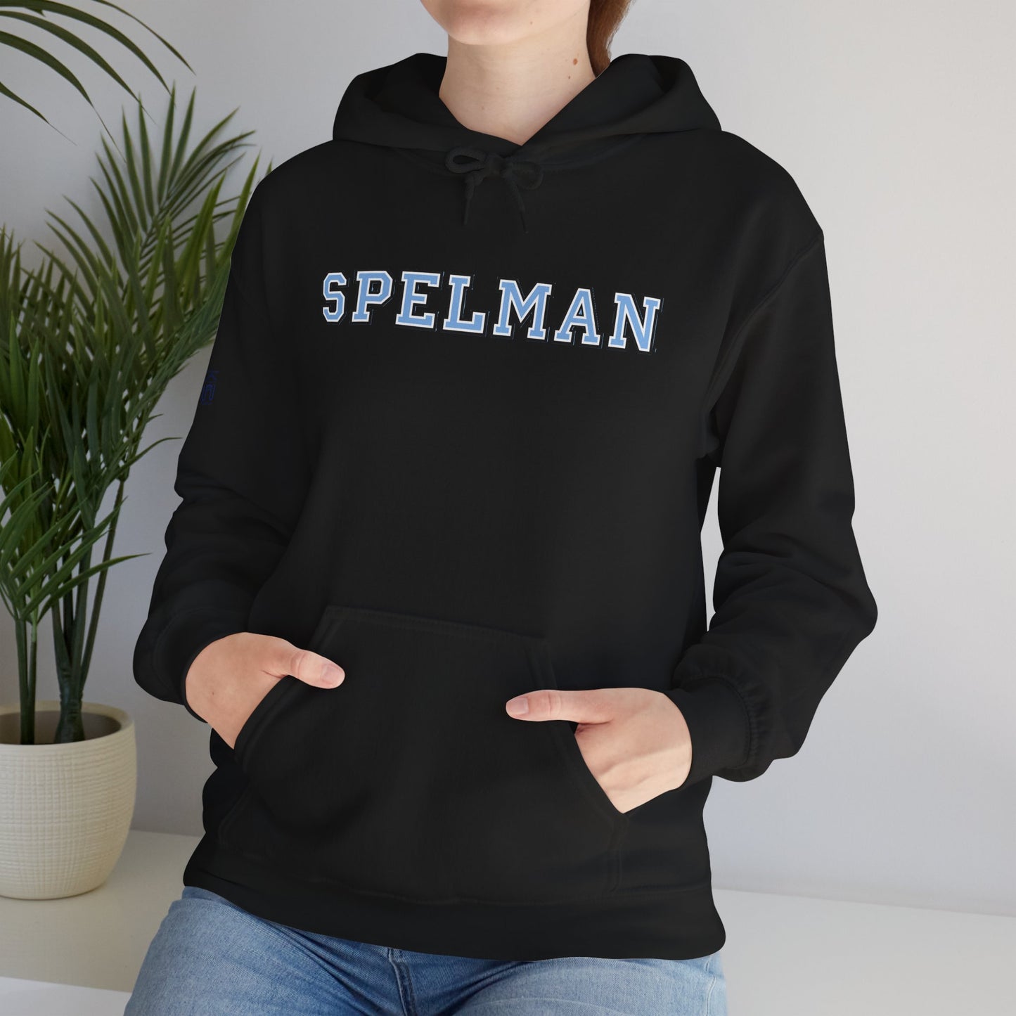 Unisex Heavy Blend™ Hooded Sweatshirt sc